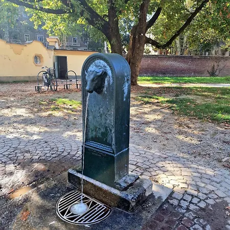 Golden House-super View On * Turyn